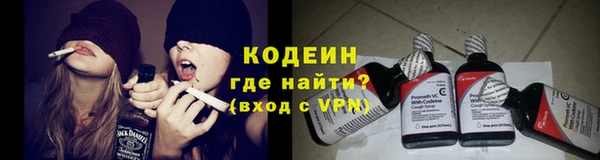 молекула духа Белокуриха