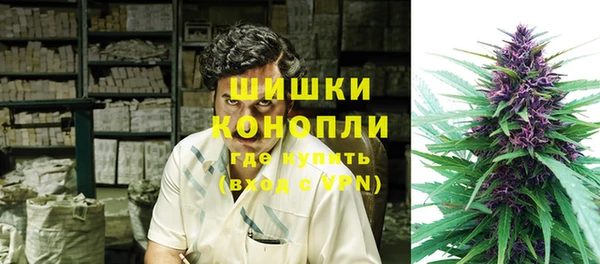 сатива Белоозёрский