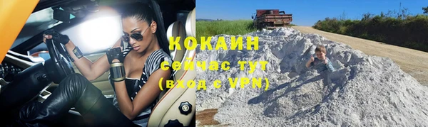 сатива Белоозёрский