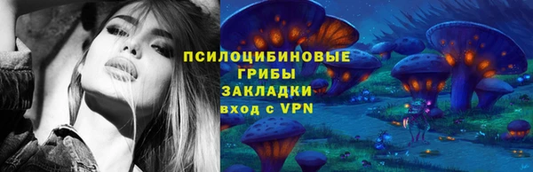 молекула духа Белокуриха