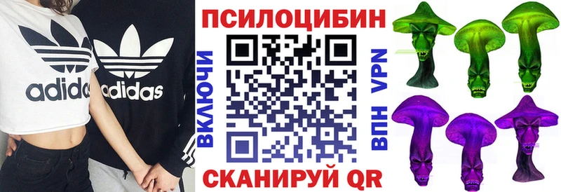 Галлюциногенные грибы Psilocybe  купить наркотики сайты  Кодинск 